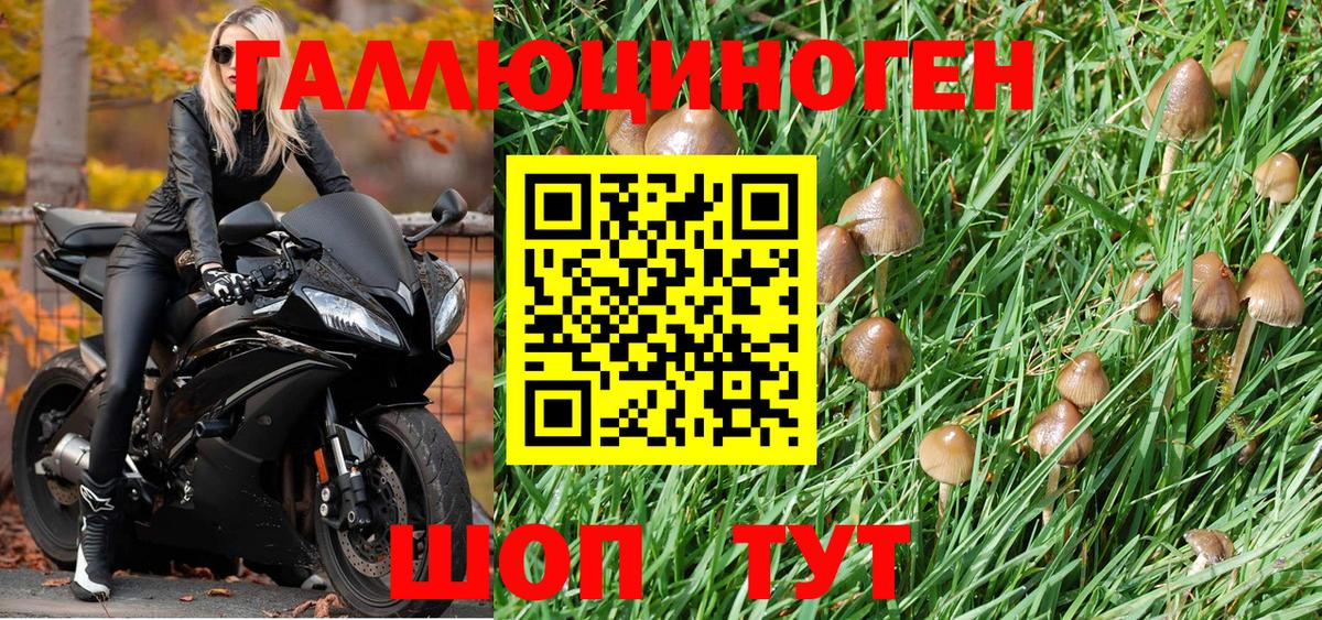 дарнет шоп  Ступино  Псилоцибиновые грибы мухоморы 