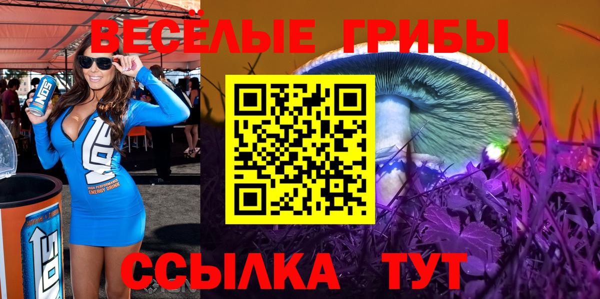 Ступино  Псилоцибиновые грибы мухоморы  купить наркоту  Вход с VPN 